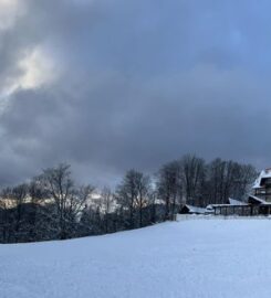 Trei Brazi Cabin